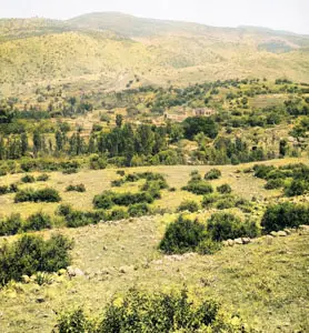 A Villiage in Caesarea Philippi