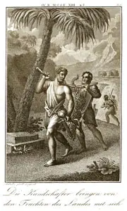 The Spies Bring Back Grapes