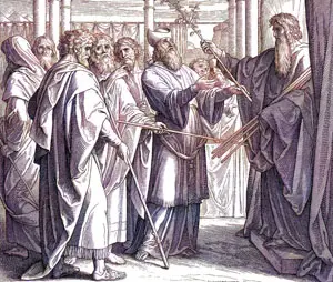 The Budding of Aaron’s Rod