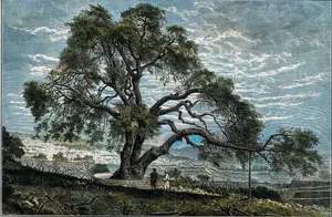 Abram and Lot Separate