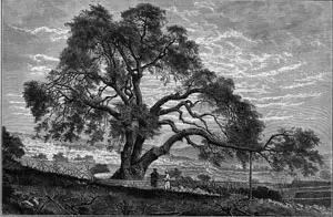 Abram and Lot Separate