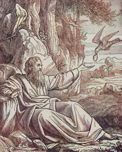 Elijah Fed by Ravens